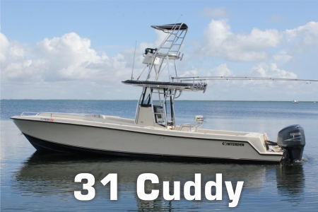 Contender - 31 Cuddy - OEM Spec Products | American Offshore