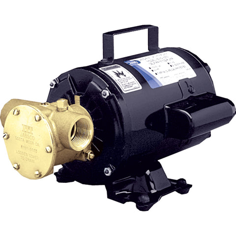 Jabsco Utility Pump w/Open Drip Proof Motor - 115V [6050-0003] - American Offshore
