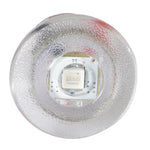 Lumitec Newt - Livewell  Courtesy Light - Warm White Non-Dimming [101240] - American Offshore