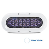 OceanLED X-Series X16 - White LEDs [012308W] - American Offshore