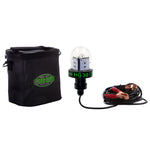 Hydro Glow HG30 30W/12V Deep Water LED Fish Light - Green Globe Style [HG30] - American Offshore