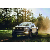 RIGID Industries D-Series PRO Specter-Driving LED - Pair - Black [502313] - American Offshore