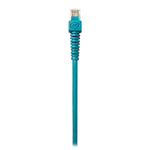 Mastervolt MasterBus Cable - 6M [77040600] - American Offshore